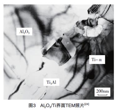 TEM照片